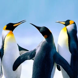Symbol von The Penguin